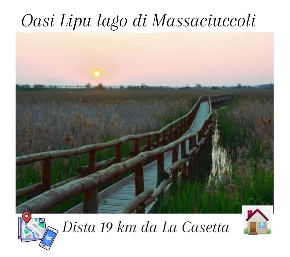 La Casetta Camaiore Kültér fotó